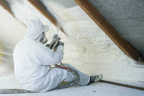 Best Insulation for New Construction  in Morris Plains, NJ